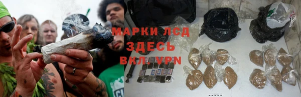 гашик Алзамай