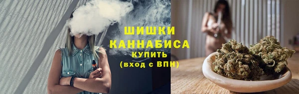 гашик Алзамай