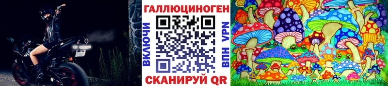 хочу   Лабытнанги  Псилоцибиновые грибы Psilocybine cubensis 